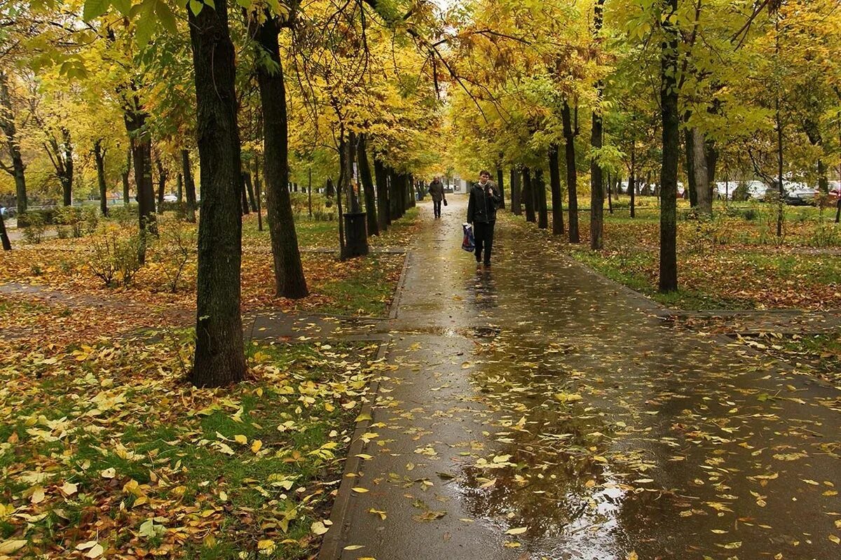 Погода конец сентября октябрь. Осень в городе. Осенний дождь в городе. Сентябрь природа город. Дождливая осень.