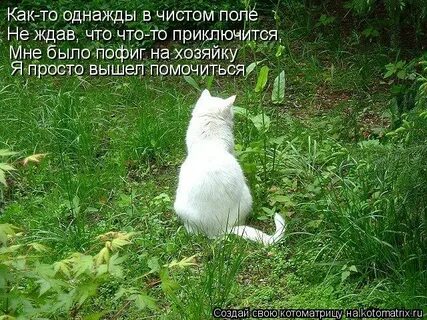 Поле не ждет