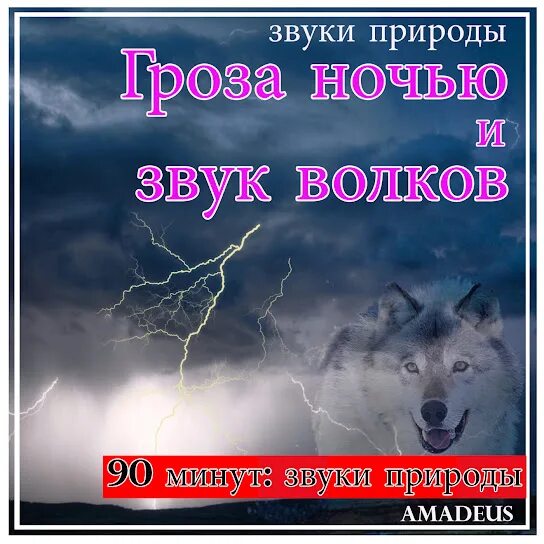 Звучание ночи. Звук волка. Звуки грозы с волками. Звук ночной волк в лес.