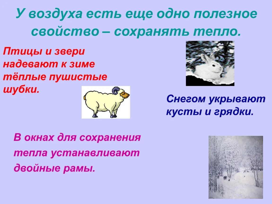 Воздух воздух использует тепло воздуха. Свойство воздуха сохранять тепло. Как животные используют свойства воздуха. Как воздух сохраняет тепло. Воздух сохраняет тепло опыт.