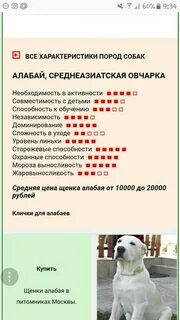 Клички для собак породы алабай