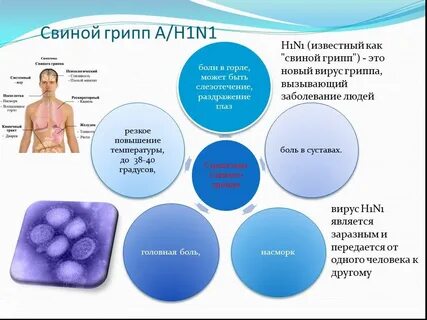 H 1 n 1