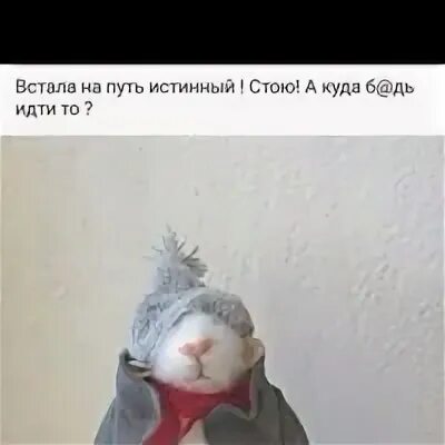 Вставай решай