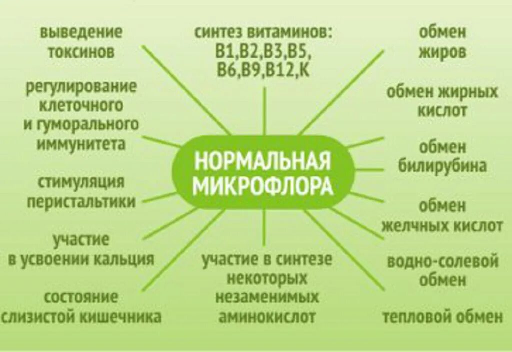 Препараты нормальной микрофлоры. Функции нормальной микрофлоры схема. функции нормальной микрофлоры кишечника. функции выполняемые нормальной микрофлорой кишечника. основные функции нормальной микрофлоры кишечника.