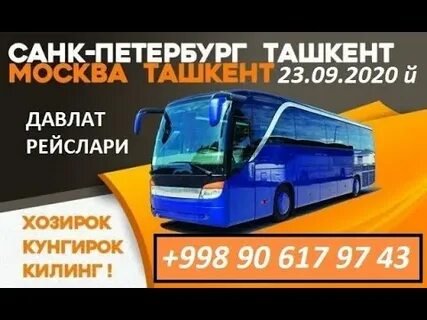 Москва ташкент автобус