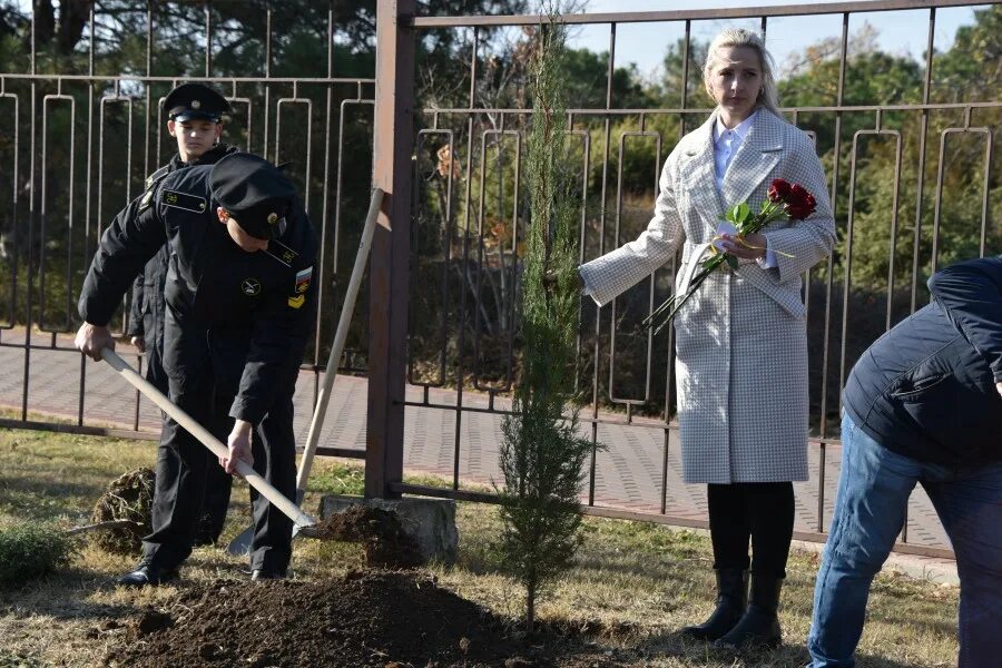 Аллея деревьев. Аллея памяти. Заложили аллею. Заложили аллею. Заложили аллею.