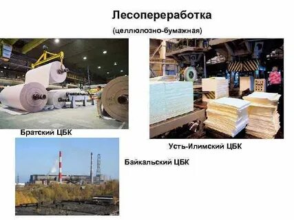 Лесопромышленный комплекс восточной сибири