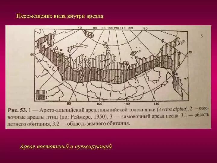 При увеличении ареала. Виды ареалов. ареал примеры. тип дизъюнктивного ареала.