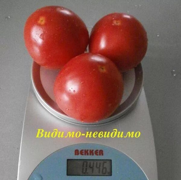 Сорт видимо невидимо томат. Сорт помидор видимо невидимо. сорт томатов видимо невидимо. томат видимо невидимо сибирский сад. семена томат видимо невидимо сибирский сад.