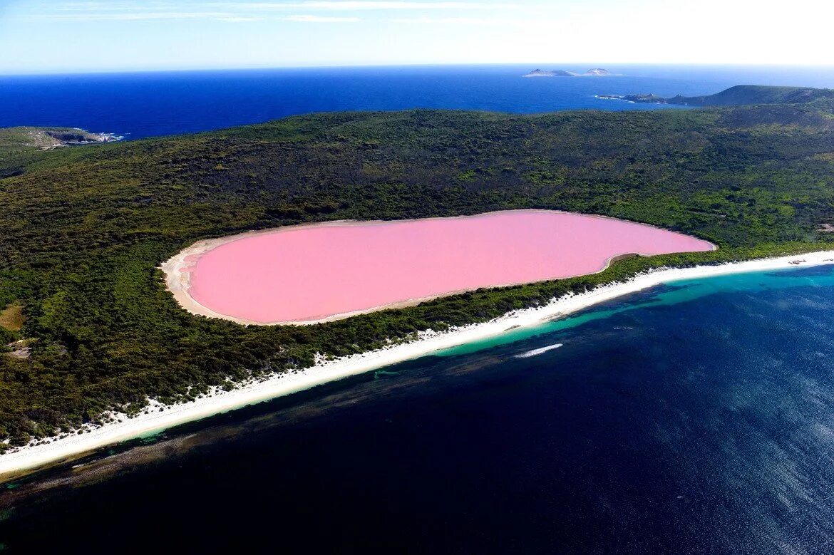 Розовое озеро Хиллер Австралия. Озеро Хильер в Австралии. Озеро Хиллер (hillier), Австралия. Озеро Ретба Сенегал.