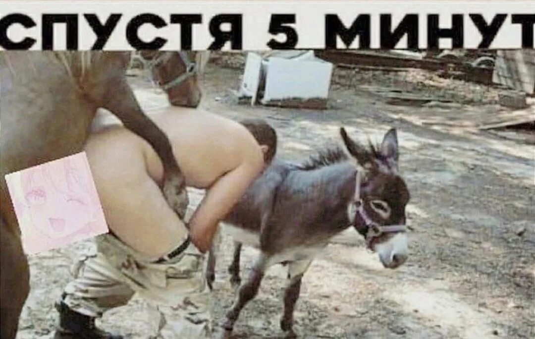 Порно Рассказы Секс С Ослом