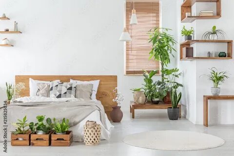 Plant i home