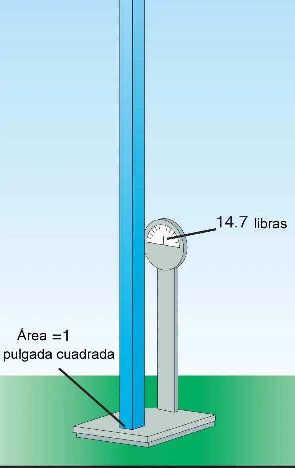 Square inch. T-square. Square inch. Как узнать рост в квадрате. Sq helix.