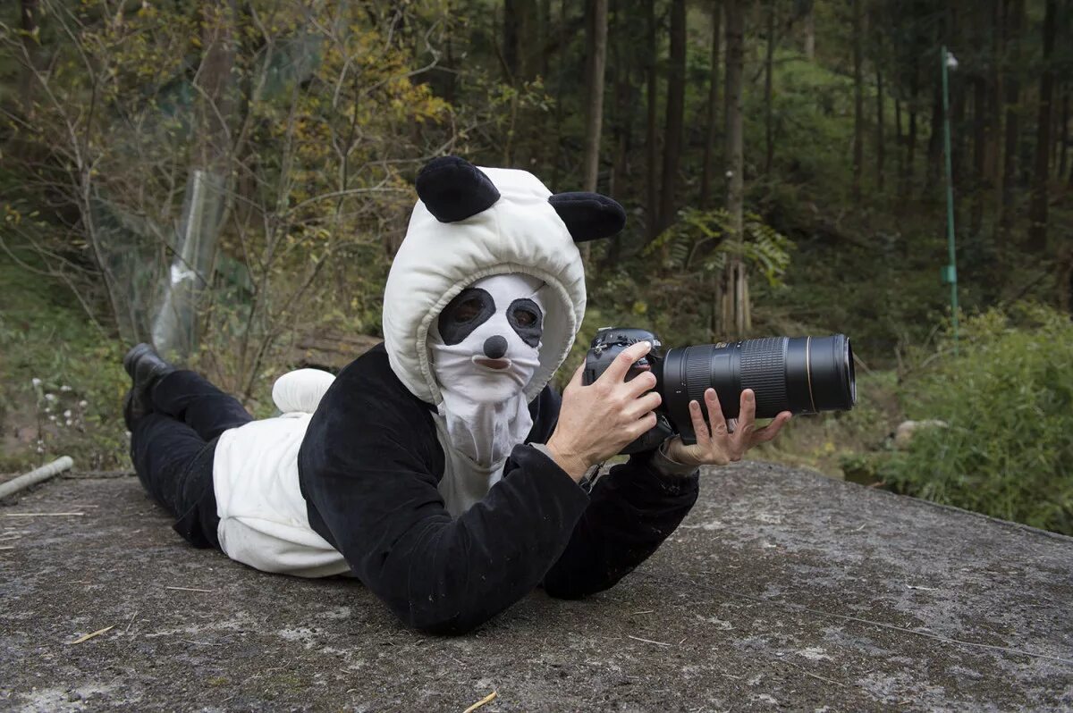 Панда режиссер. Панда с фотоаппаратом. Смешной фотограф. Фотоаппарат прикол. Животные с фотоаппаратом.