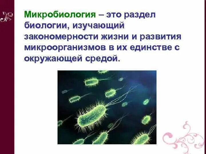 Микробиология. Микробиология наука изучающая микроорганизмы. Что изучает микробиология в биологии. Микробиология информация. Наука изучающая бактерии называется