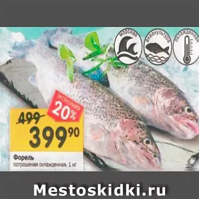 Форель московское