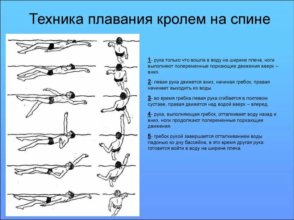 Правильные движения рук. Движение рук при плавании кролем на спине. кроль брасс баттерфляй техника плавания. основы техники плавания кролем на спине. упражнения для изучения техники плавания кроль на груди.