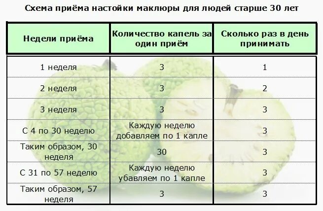 Адамово яблоко суставы рецепт. Схема приема настойки маклюры. Схема приема адамово яблоко внутрь. Адамова яблока применение. Как пить адамово яблоко схема.