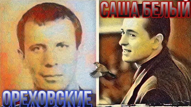 Саша белый в реальности: магия, загадки и таинственность в одном лице Страничка 