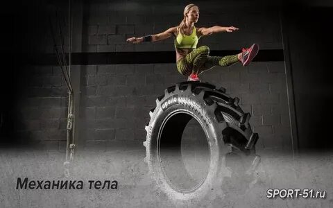 Механики тела