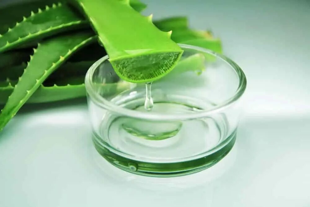 Алоэ для головы. Aloe Vera Gel.