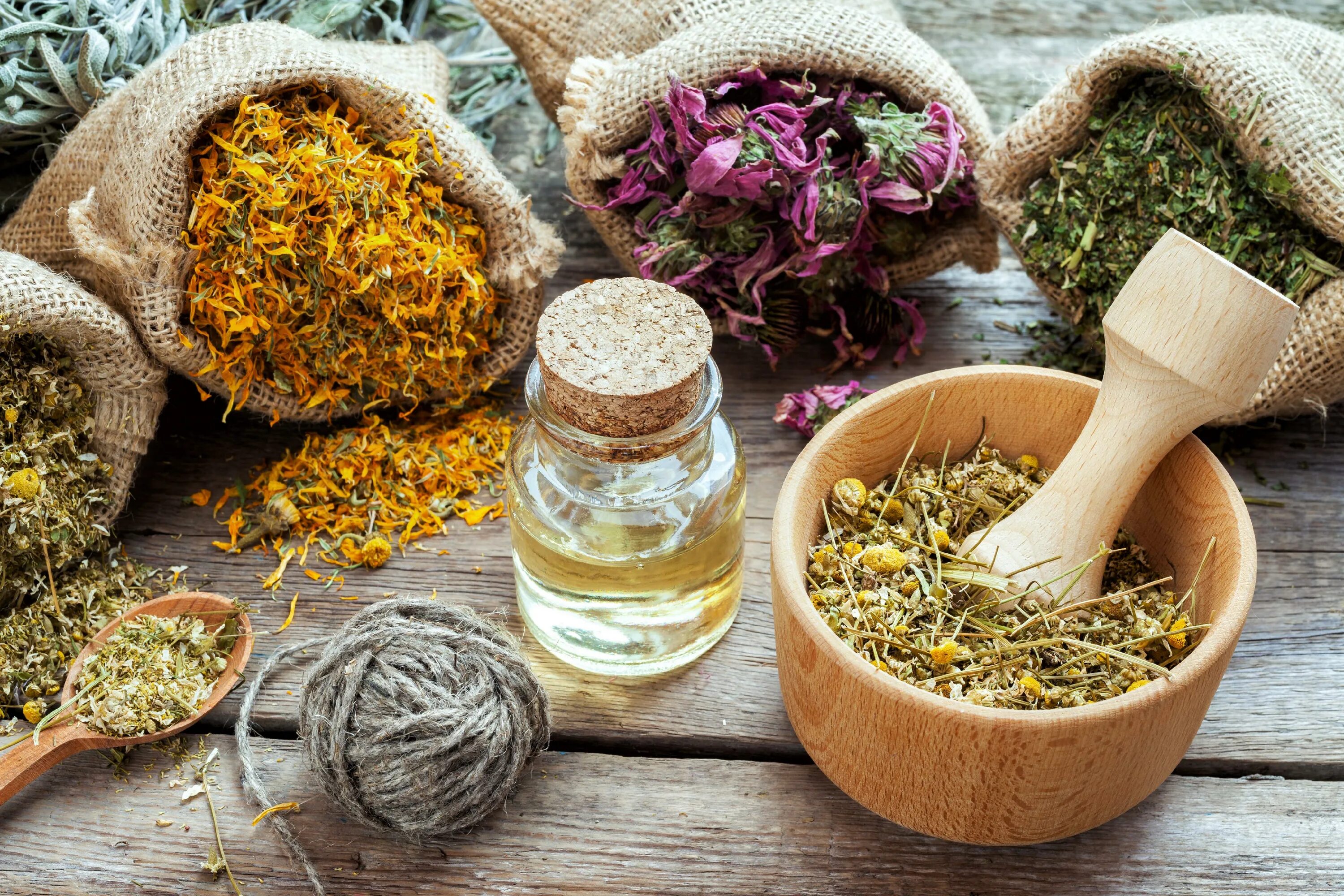 Medical herb. Натуропатия фото. Medical herb. Целебные травы. Народная медицина травы.