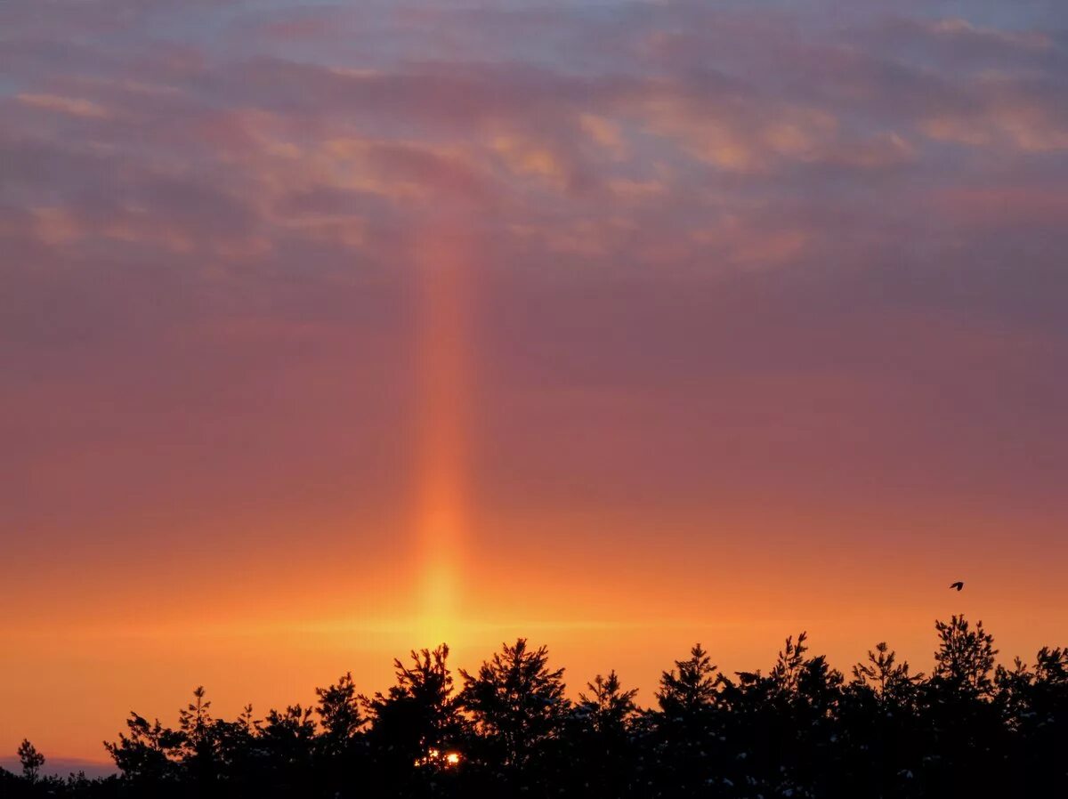 Закат оптическое явление. Природное явление закат. Закат оптическое явление. Закат оптическое явление. Закат оптическое явление.