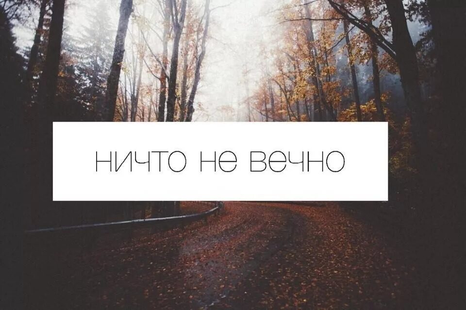 И жизнью вечно молодой. Ничто не вечно. ничего не вечно. ничто не вечно никто не вечен. ничто не вечно цитаты.