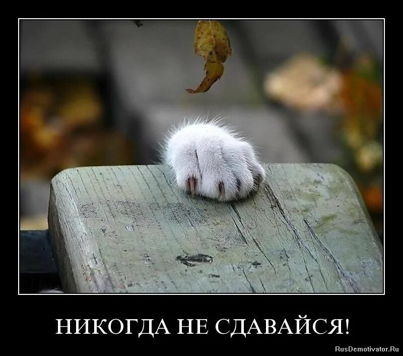 Совсем всегда
