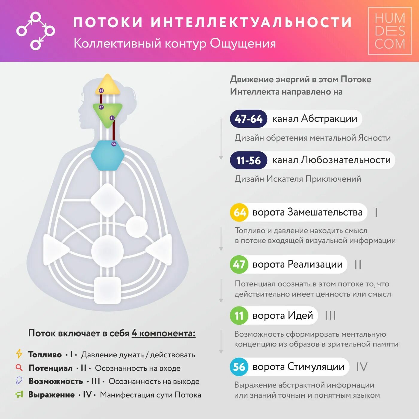 Канал 2 14 дизайн человека. Дизайн человека. рейв карта дизайн человека каналы. манифесторские каналы дизайн человека. проекторские каналы дизайн человека.