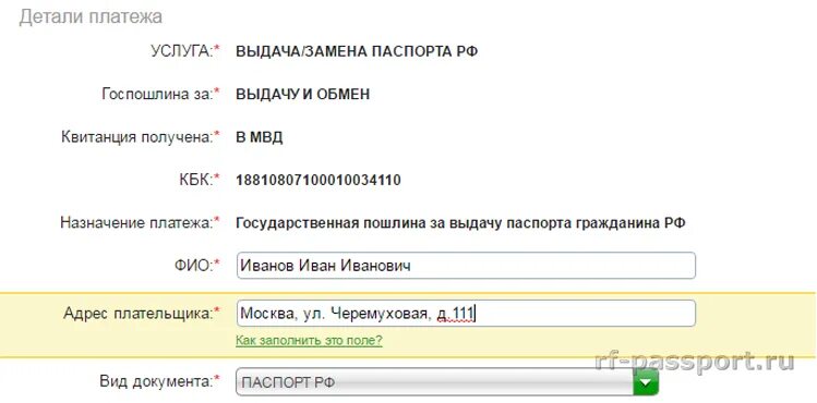 Как оплатить госпошлину в 20 лет. Как оплатить госпошлину в 20 лет