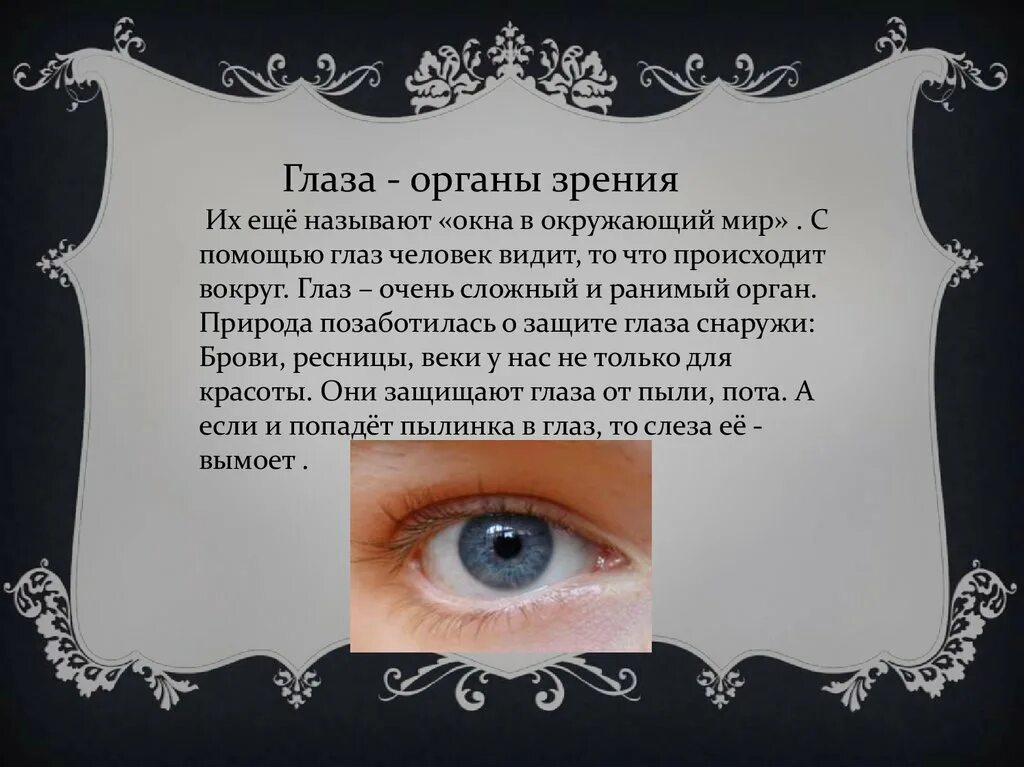 Реферат на тему глаза. Глаза орган зрения. Доклад на тему глаз. Интересные факты о органе зрения. Темы курсовых по глазам.