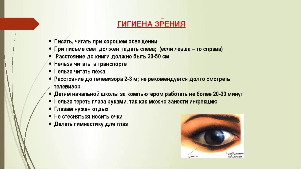 Какую информацию дают глаза. Памятка гигиена органов зрения. Гигиена органов зрения кратко. Памятку "гигиена зрения. Предупреждение глазных болезней". Правила ухода за глазами.