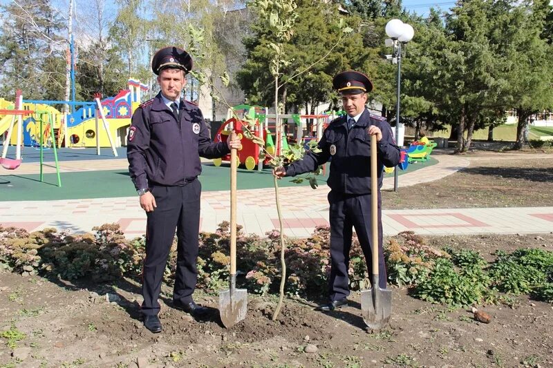 П курганинск. Парк Солнечный остров Курганинск. Парк Победы Курганинск. Краснодарский край Курганинск парк Победы. Курганинск сквер.