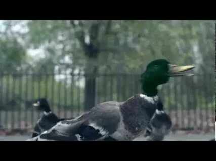 Bingo players far east movement get up