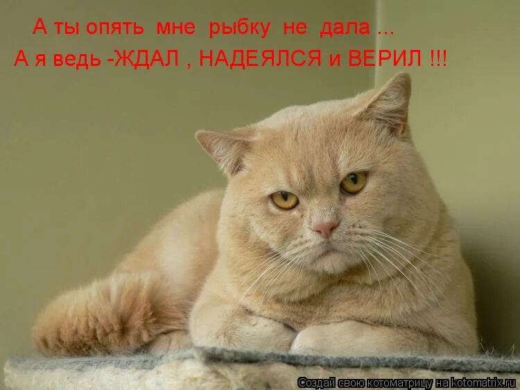 Выполнение плана продаж картинки. Я помылся фото. Мотиватор для продажников. Ах да чуть не забыл. Всегда что то не хватает.