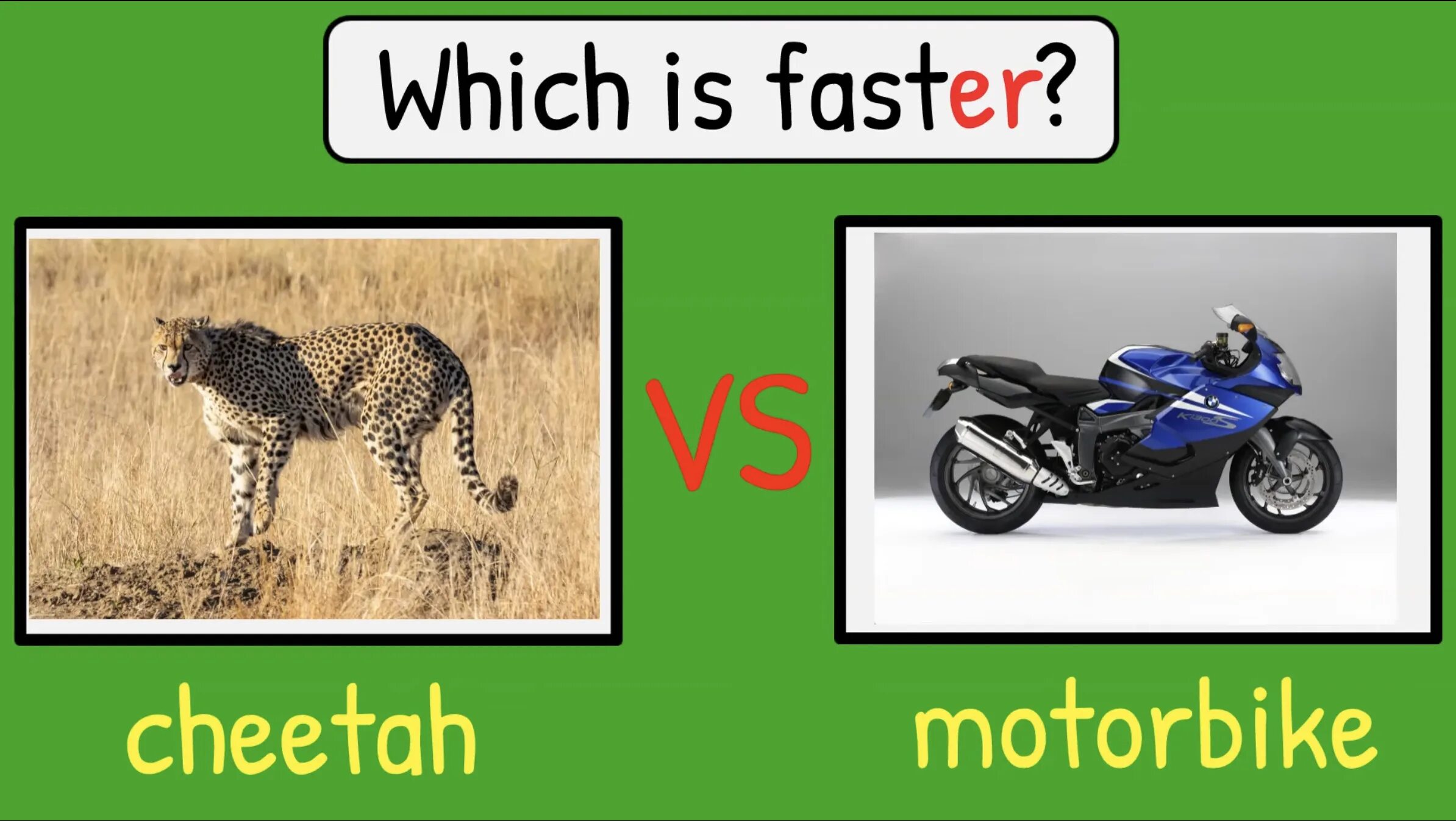 Comparative quiz. Which is faster. Superlative Quiz. Comparative adjectives. Bigger faster in English.