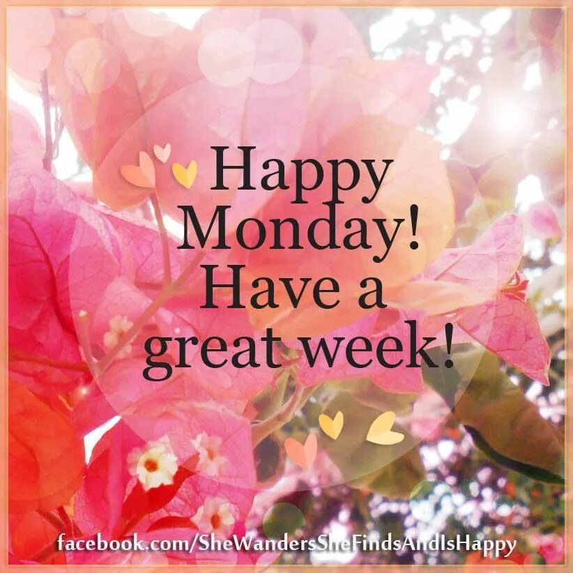 Week wishing
