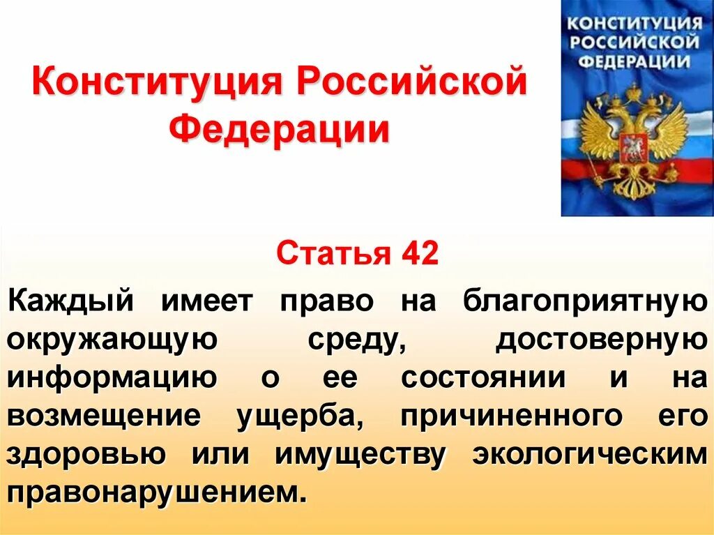 Конституция российской федерации каждому гарантирует ответ. Конституция Российской Федерации. Статьи Конституции. Статья 42. Ст 42 Конституции.