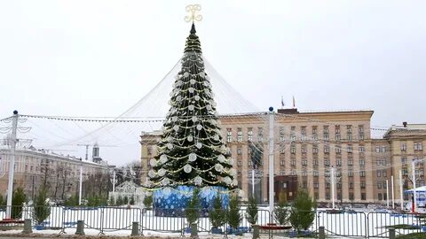 Ели воронеж