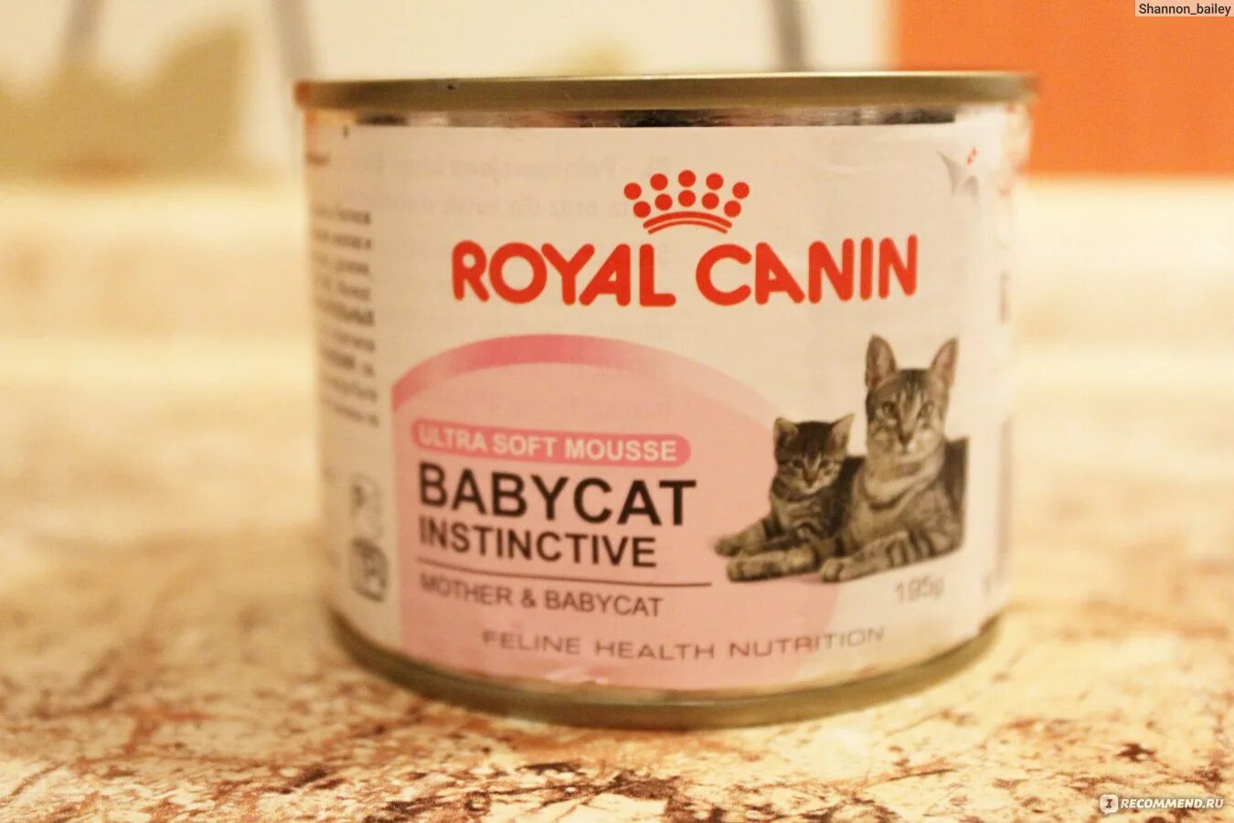 Royal canin babycat. Роял Канин паштет для котят до 4х месяцев. Royal Canin Babycat паштет. Royal Canin mother Babycat паштет. Mother Babycat Royal Canin мусс.