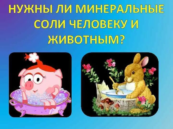 Минеральные соли для животных. Нужны ли минеральные соли животным и человеку. нужны ли минеральные соли животным и человеку 5 класс биология. урок по теме 5 класс нужны ли минеральные соли животным и человеку?. нужны ли минеральные соли животным и человеку презентация 5 класс.