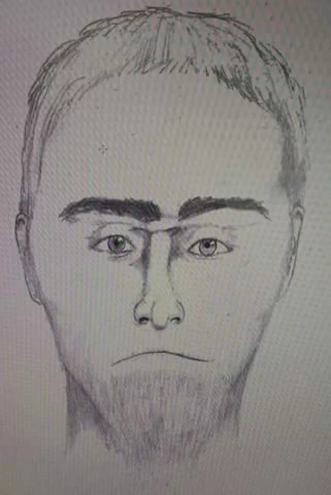 Система фоторобот криминалистика. Фоторобот лица. Портрет разыскиваемого лица. Лукас кейн фоторобот. Лукас кейн фоторобот.