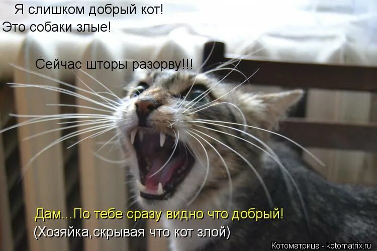 Выяснять отношения. Будем выяснять. Цитаты про выяснение отношений. Не выясняйте отношения с людьми которые вас разочаровали. Будем выяснять.