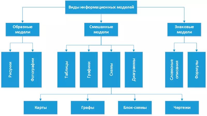 Схема разновидностей информационных моделей Информатика 6 класс. Видыинфлрмационных моделей. Фиды информационных можелей. Виды информационной МО.