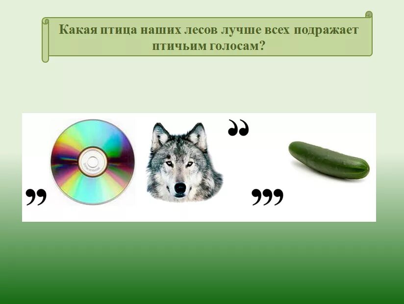 Ребусы про 8. Ребусы по биологии. Ребусы по биологии с ответами. Биологические ребусы. Ребусы на тему биология.