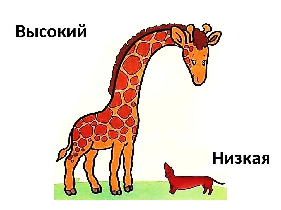 Высокий - низкий. Высокий низкий для детей. Понятие высокий низкий. Высокий низкий карточки для детей.