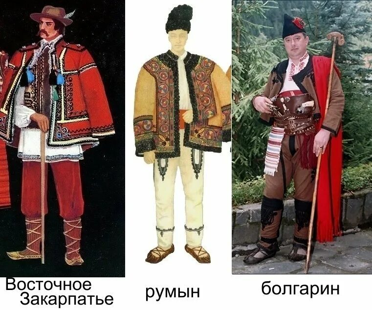 Какой группе относятся поляки