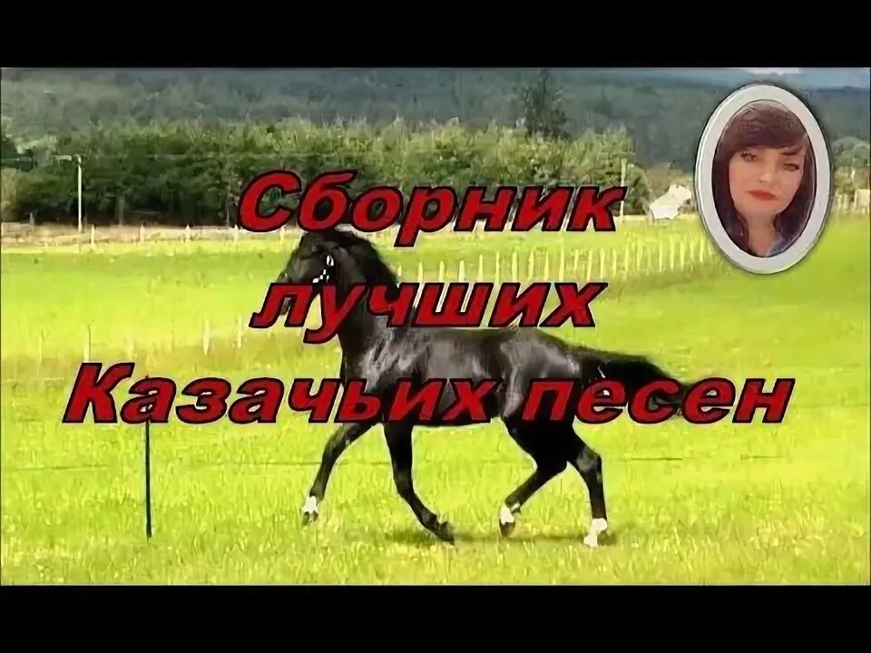 Лучшие сборники казачьих песен. Любо братцы текст. Лучшие сборники казачьих песен. Ансамбль казачьей песни братина вдоль по линии кавказа. Лучшие сборники казачьих песен.