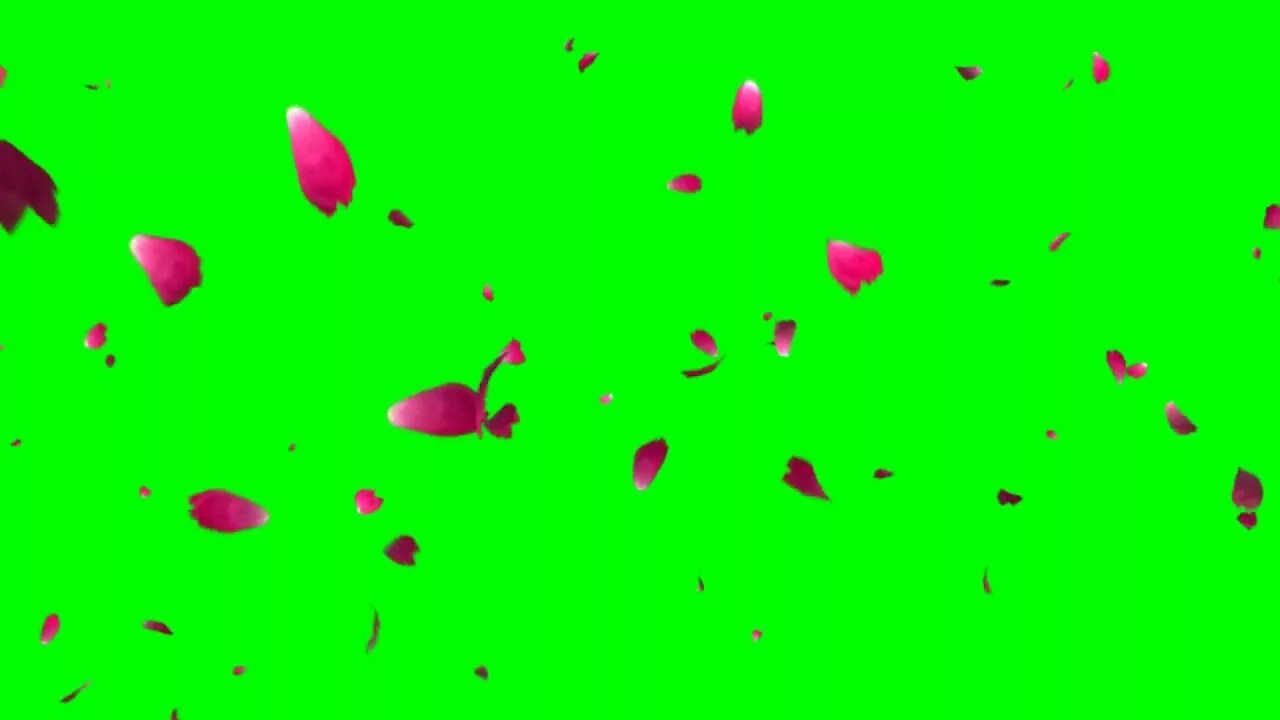 Зеленые листья на белом фоне. Летающие листья без фона. Лепестки хромакей. Мягкий зеленый фон. Салатовый цвет.